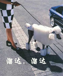 [ע��]���ֲ���Աÿ�ձ�����