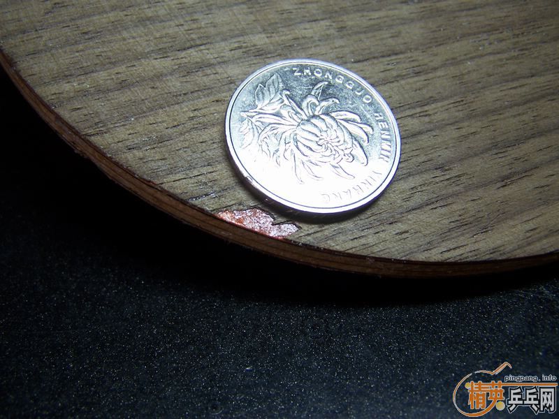 ۭ��ͥ ������