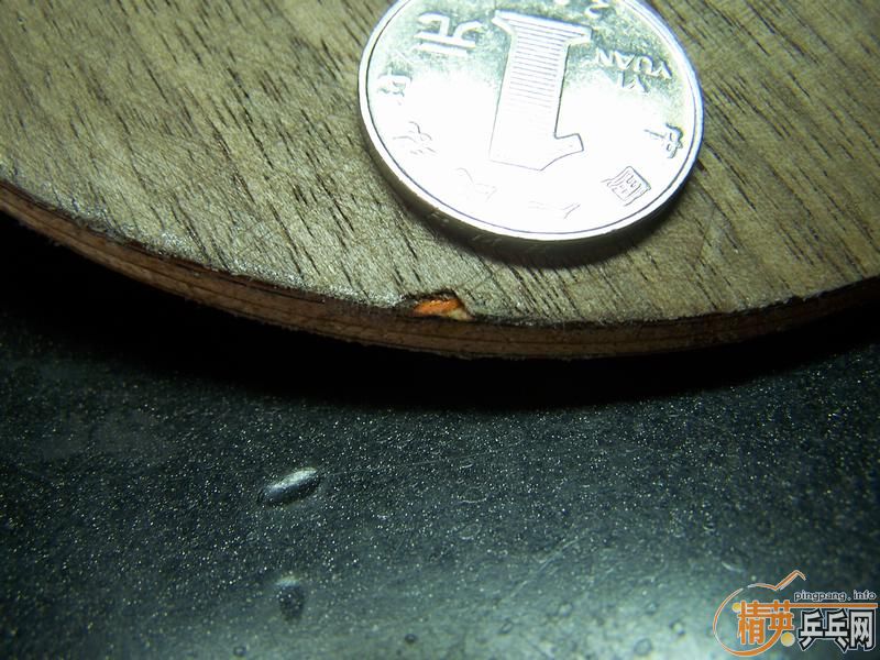 ۭ��ͥ ������