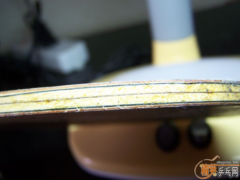 ۭ��ͥ ������