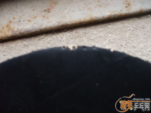 ��EG-WRB����ɫYASAKA�׽��ͺ�ɫNittaku�׽�