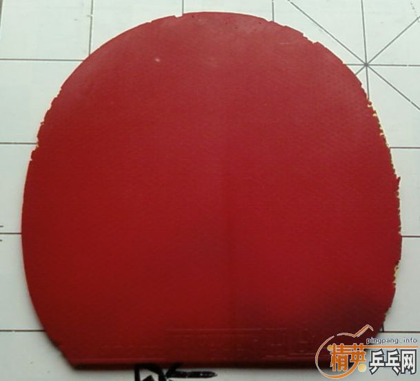 cor sp   ��14.7*��14.6  ˭Ҫ