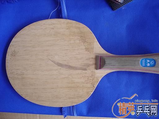 ���˳���רҵ���Դ��230