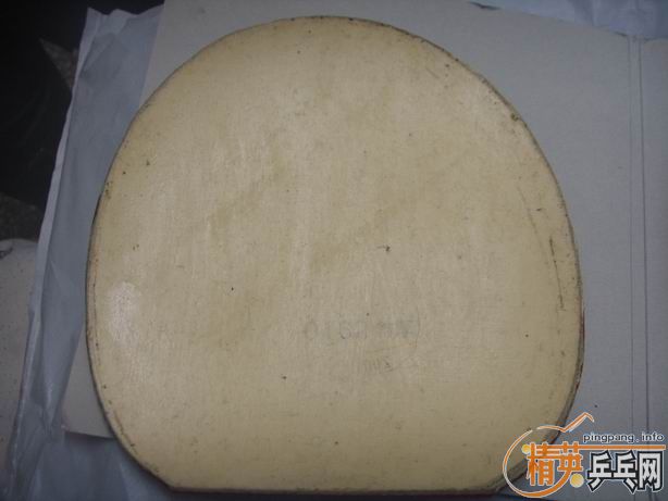 �׽����飺EKRIPS��NITTKU.J.O��������563��563-1���۸�����