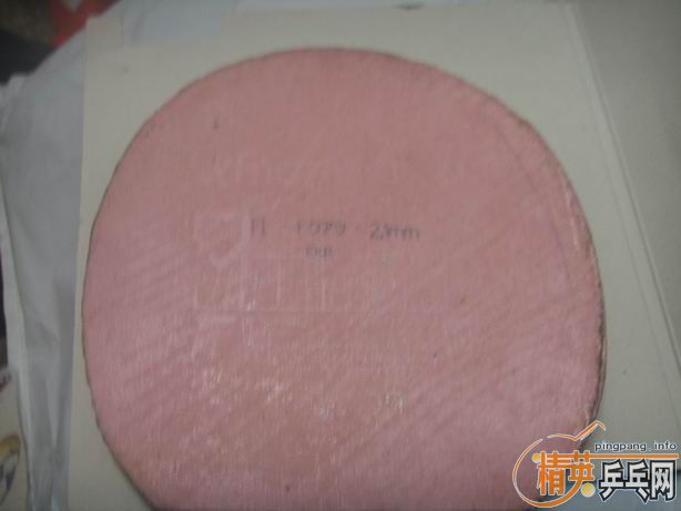 �׽����飺EKRIPS��NITTKU.J.O��������563��563-1���۸�����