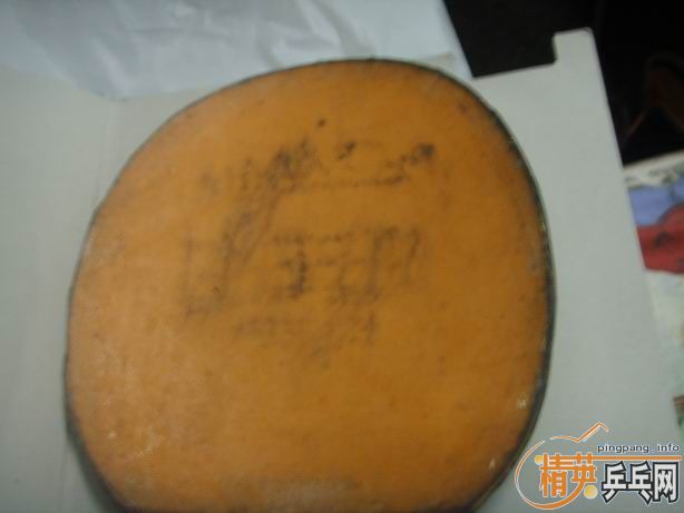 �׽����飺EKRIPS��NITTKU.J.O��������563��563-1���۸�����