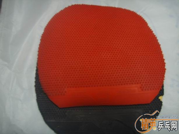 �׽����飺EKRIPS��NITTKU.J.O��������563��563-1���۸�����