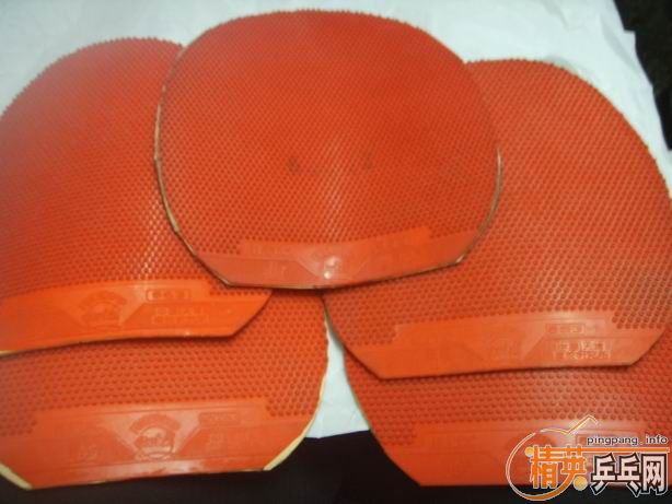 �׽����飺EKRIPS��NITTKU.J.O��������563��563-1���۸�����