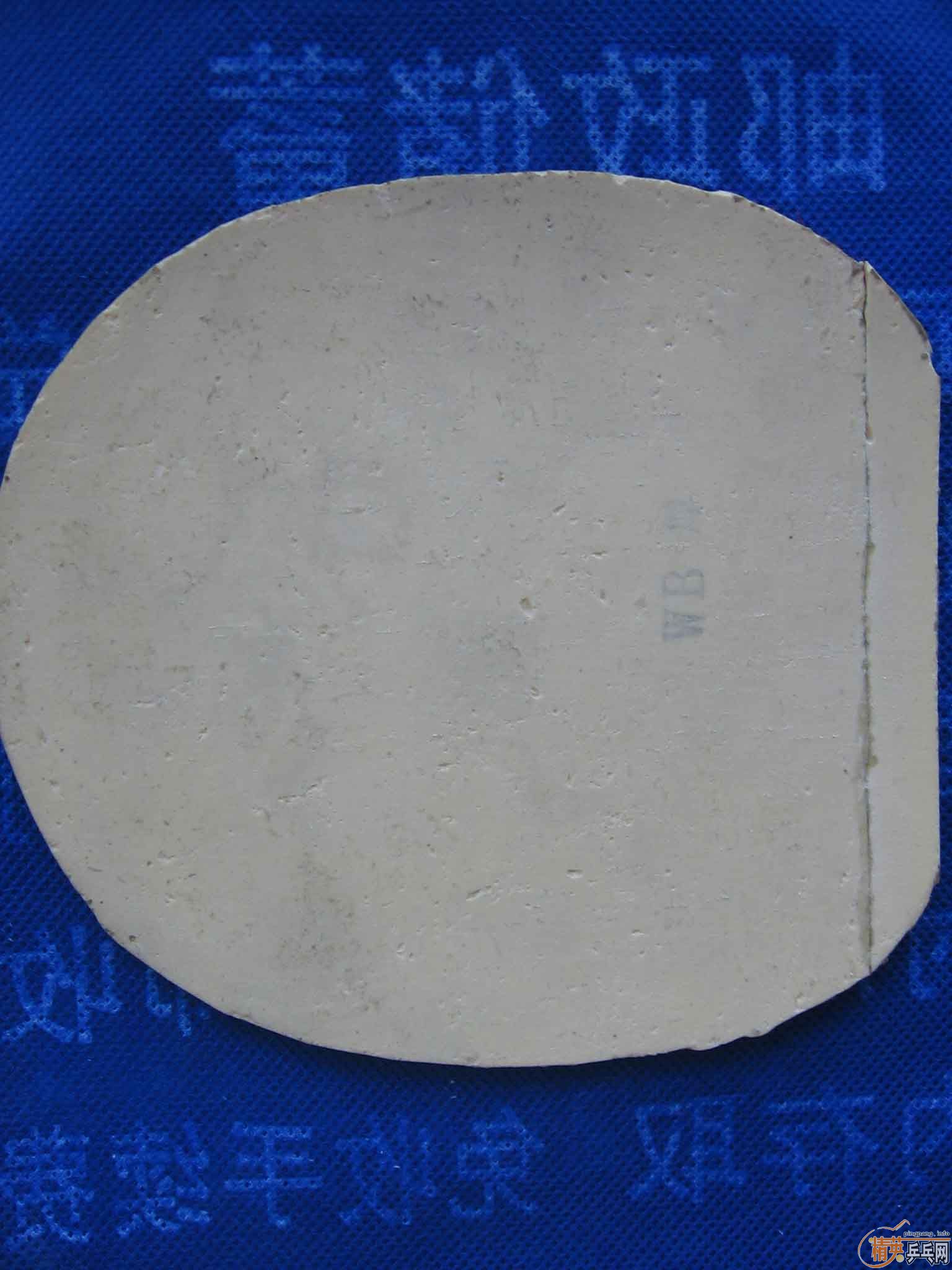 9.8VIS FL MARK V XS MARK  V׽