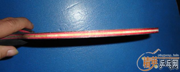 ��ֻ 9 ��FL ���  320����