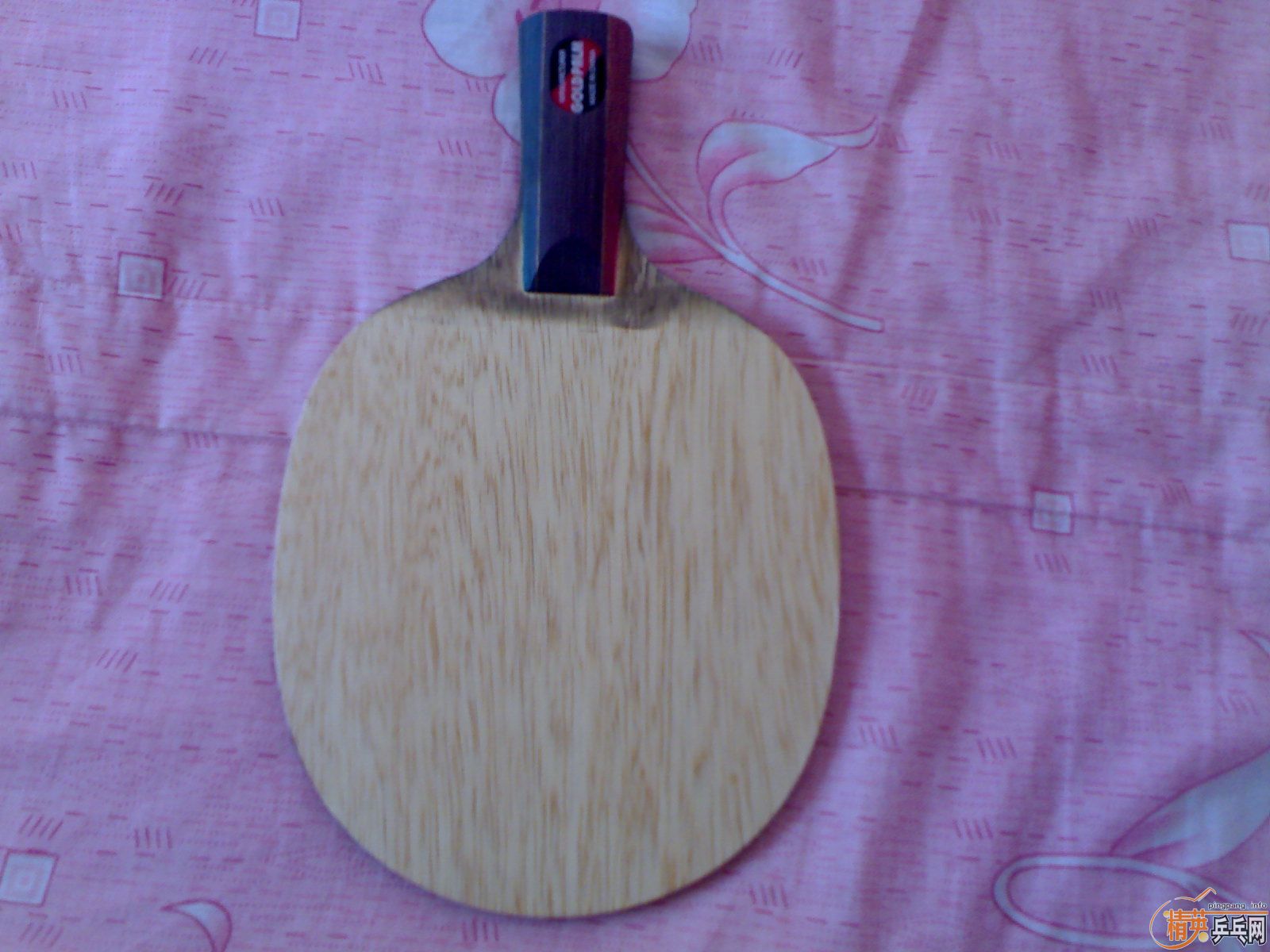 PALIO R51