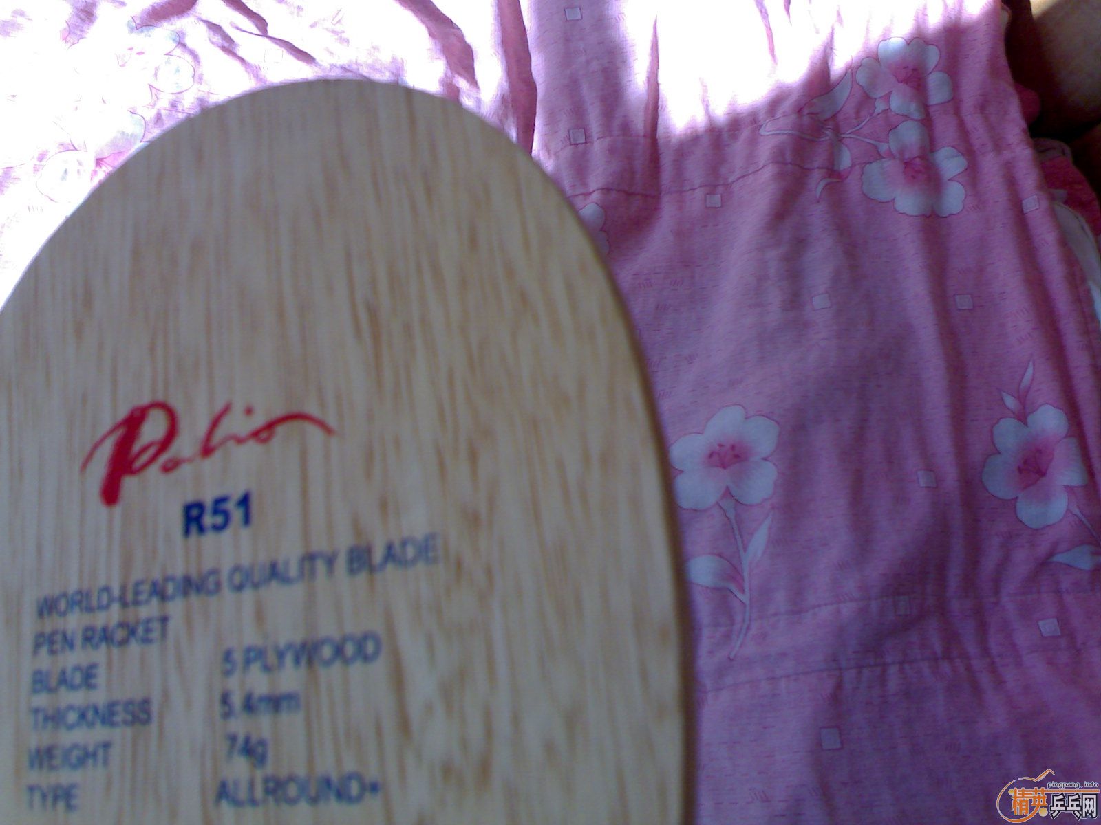 PALIO R51