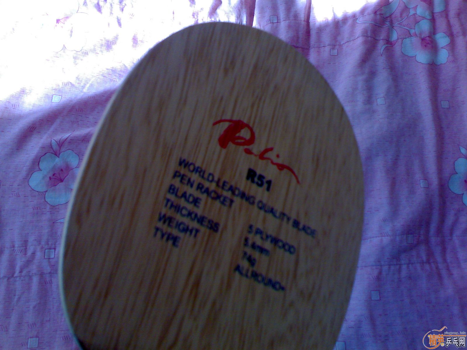 PALIO R51