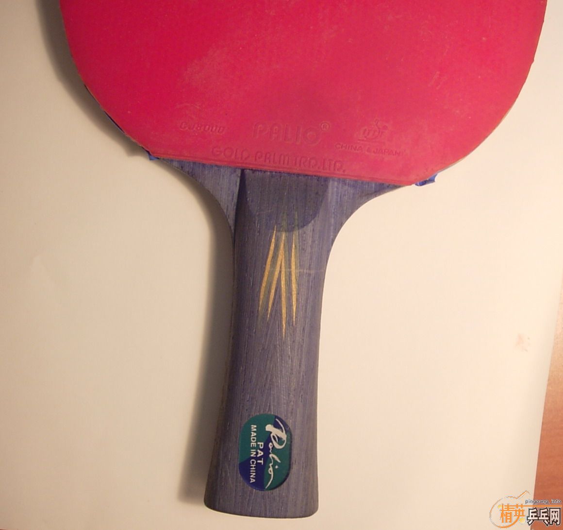 �������ģ������PAT̼��