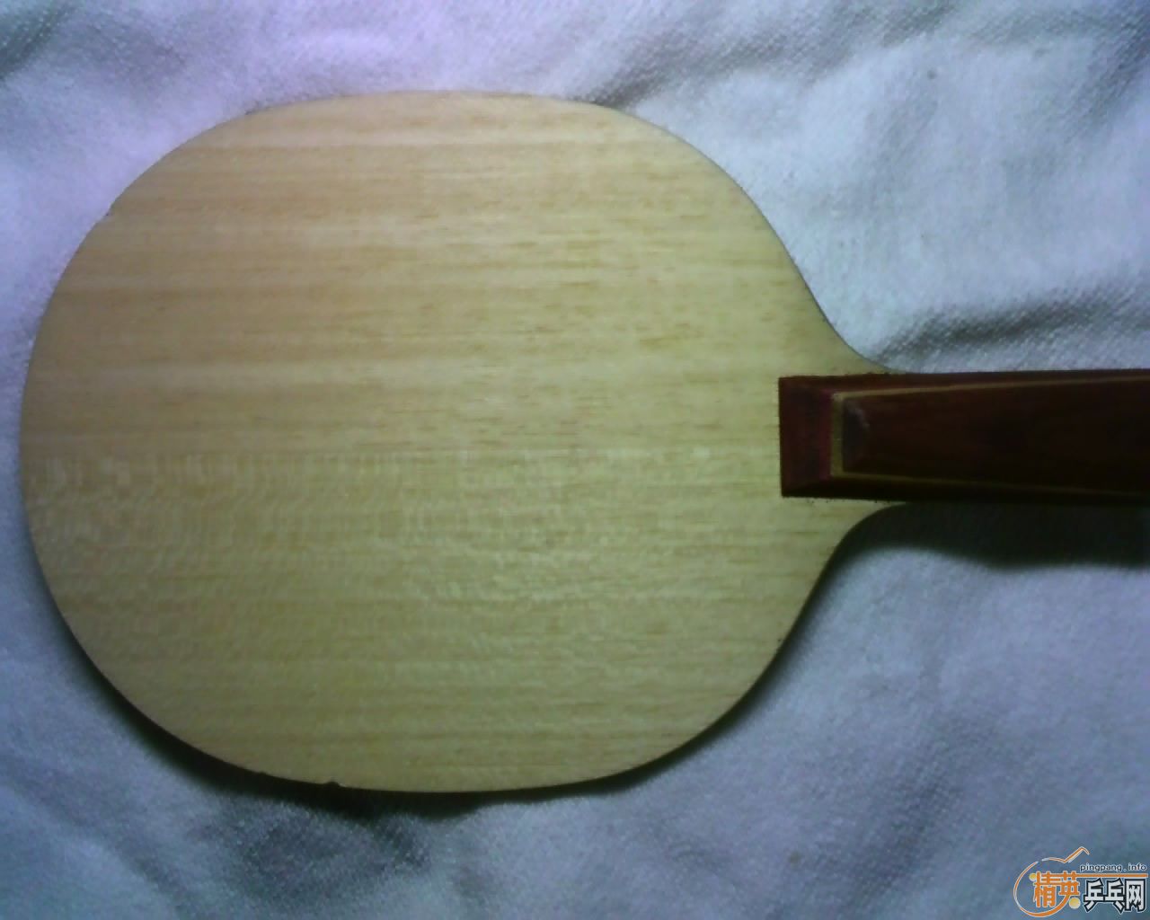 ֱ������������-5