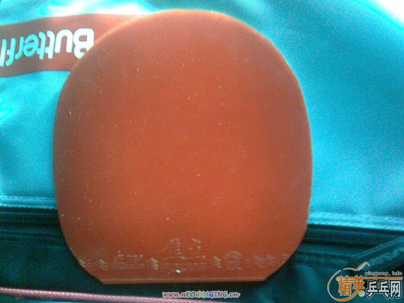 ���쳬���µĽ���100����ͨ���