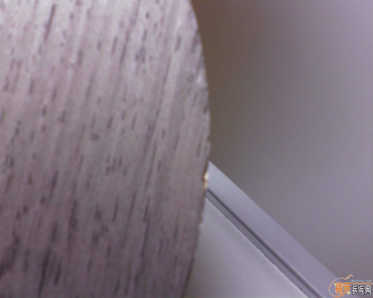 9.5�¿���� 560����