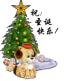 ����ÿ�ձ�������