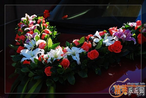 ���ϲ������Ӱ����Ū������Ƭ����ҿ���