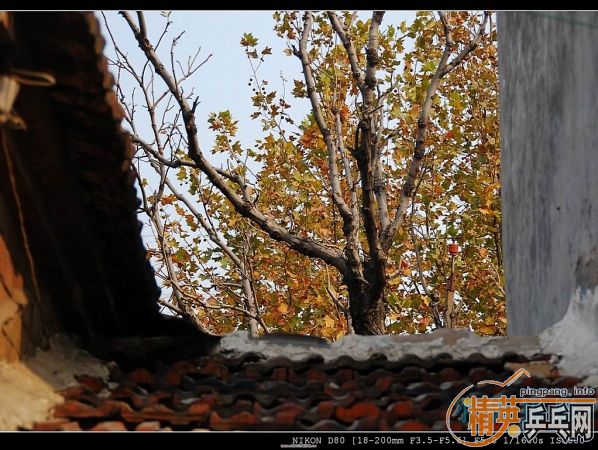 ���ϲ������Ӱ����Ū������Ƭ����ҿ���