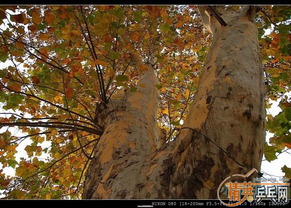 ���ϲ������Ӱ����Ū������Ƭ����ҿ���