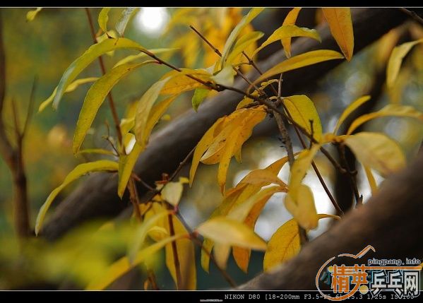 ���ϲ������Ӱ����Ū������Ƭ����ҿ���