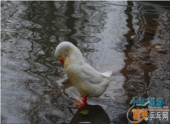 ���ϲ������Ӱ����Ū������Ƭ����ҿ���