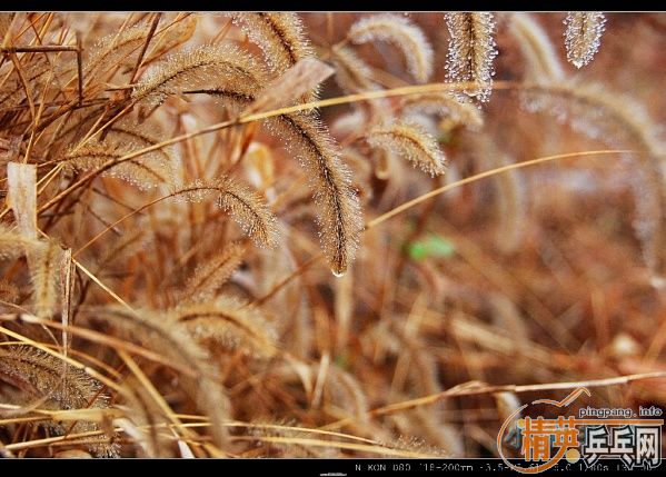 ���ϲ������Ӱ����Ū������Ƭ����ҿ���