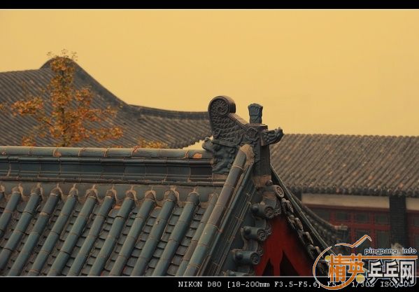 ���ϲ������Ӱ����Ū������Ƭ����ҿ���