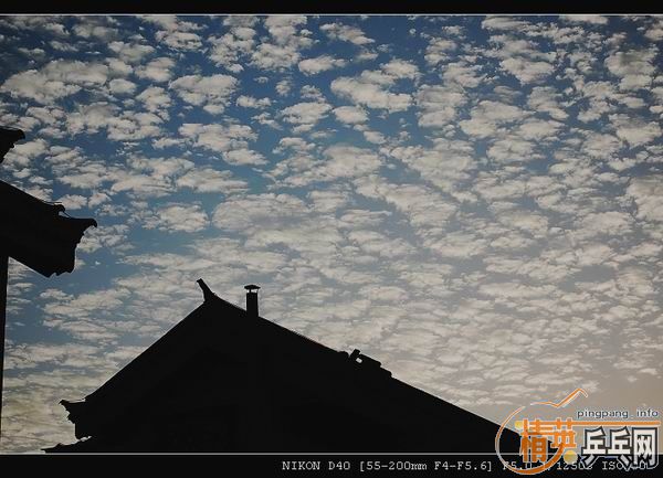 ���ϲ������Ӱ����Ū������Ƭ����ҿ���