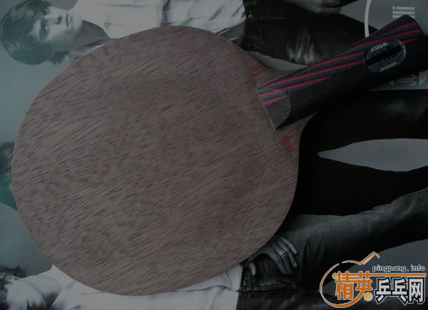 ��԰��ƭ.������..����������............