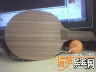 ���������ƺ��