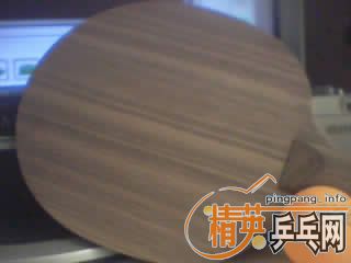 ���������ƺ��