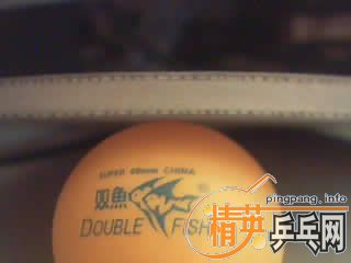 ���������ƺ��