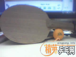 ���������ƺ��