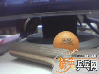 ���������ƺ��