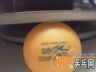 ���������ƺ��