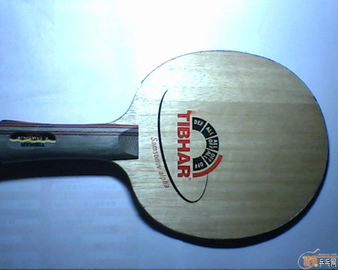 ���˳���ͦ�� ������  ��������������Ա���