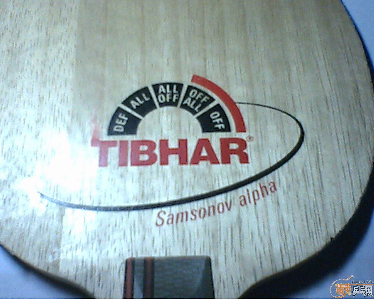 ���˳���ͦ�� ������  ��������������Ա���