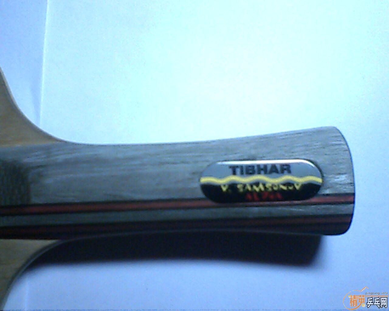 ���˳���ͦ�� ������  ��������������Ա���