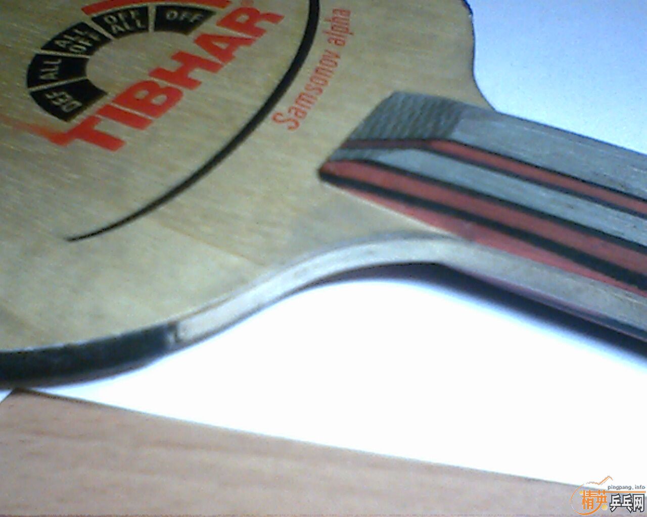 ���˳���ͦ�� ������  ��������������Ա���