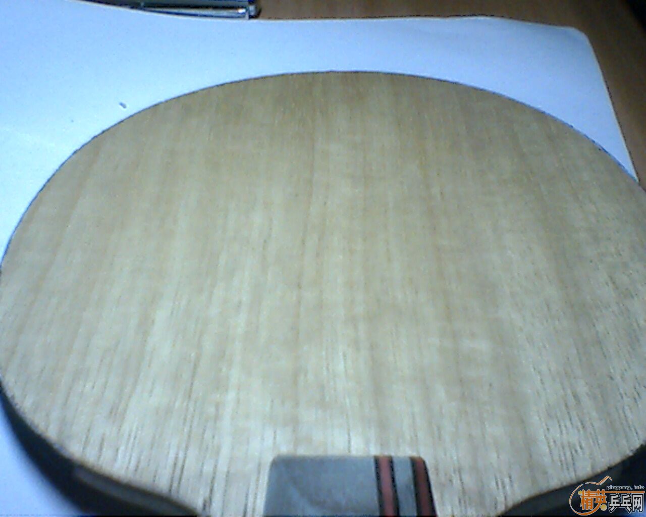 ���˳���ͦ�� ������  ��������������Ա���