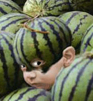 [ע��]���ֲ���Աÿ�ձ�����