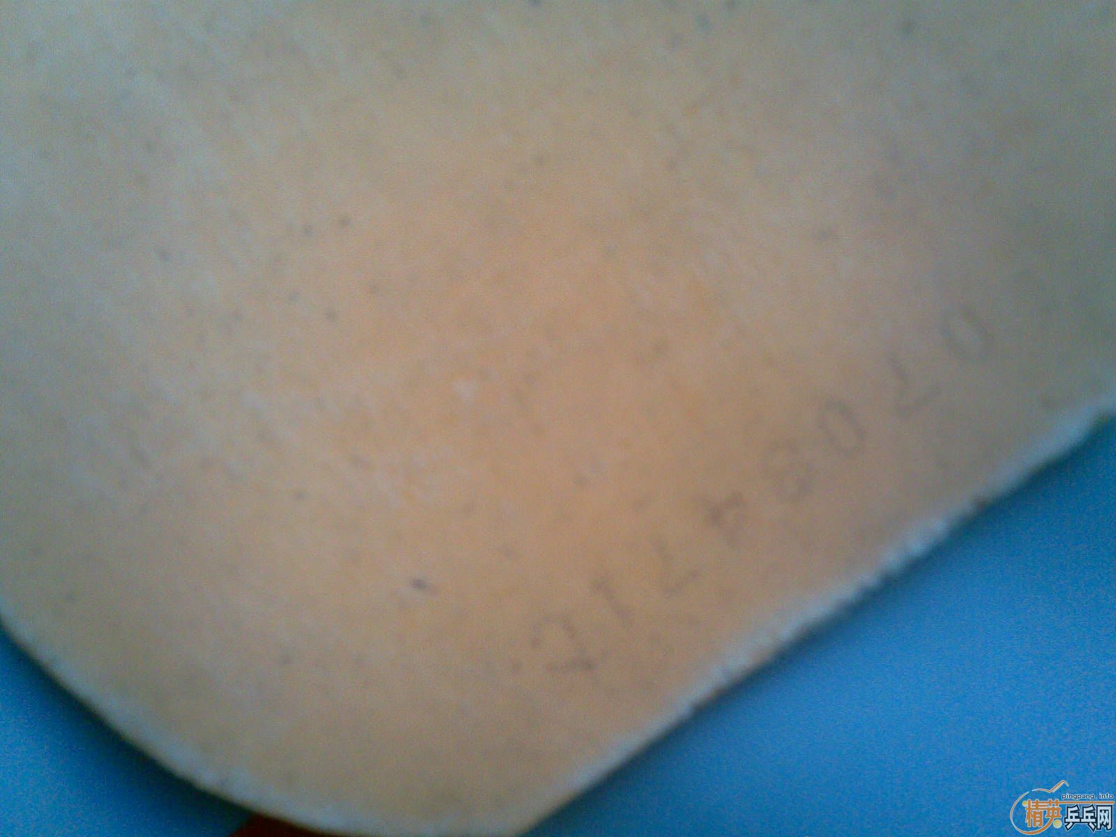 �ͼ۳�86�˼�ƷST���Ʊ�CL