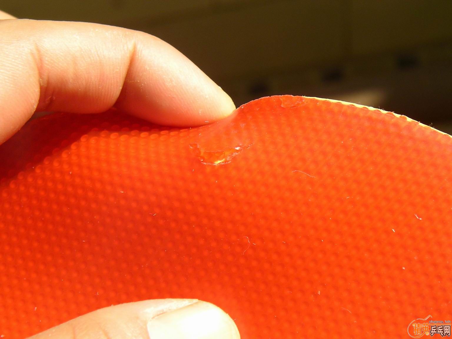 [��ͼ]ֱ������̼+��ʡ����39+����flextra Handȫ��ת��