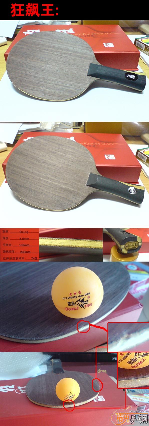 ���������������ڣ��������ạ̃�����������