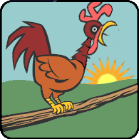 ����ÿ�ձ�������