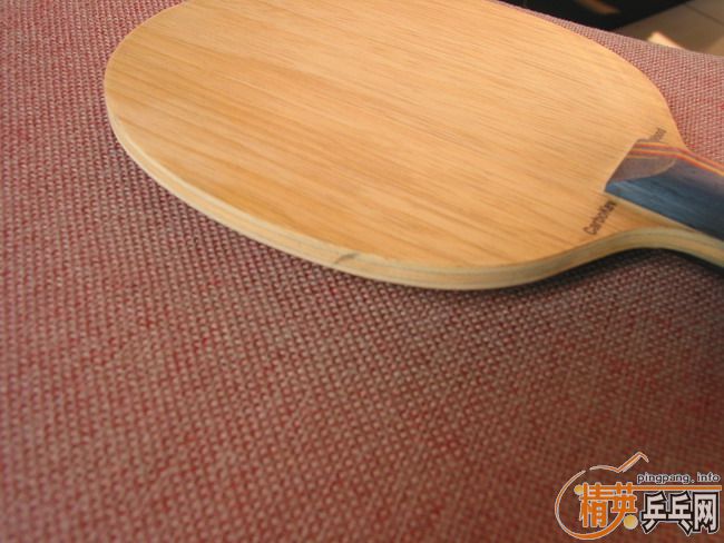 �������ռ�ɱ������/stiga CarboKev Wood-ST