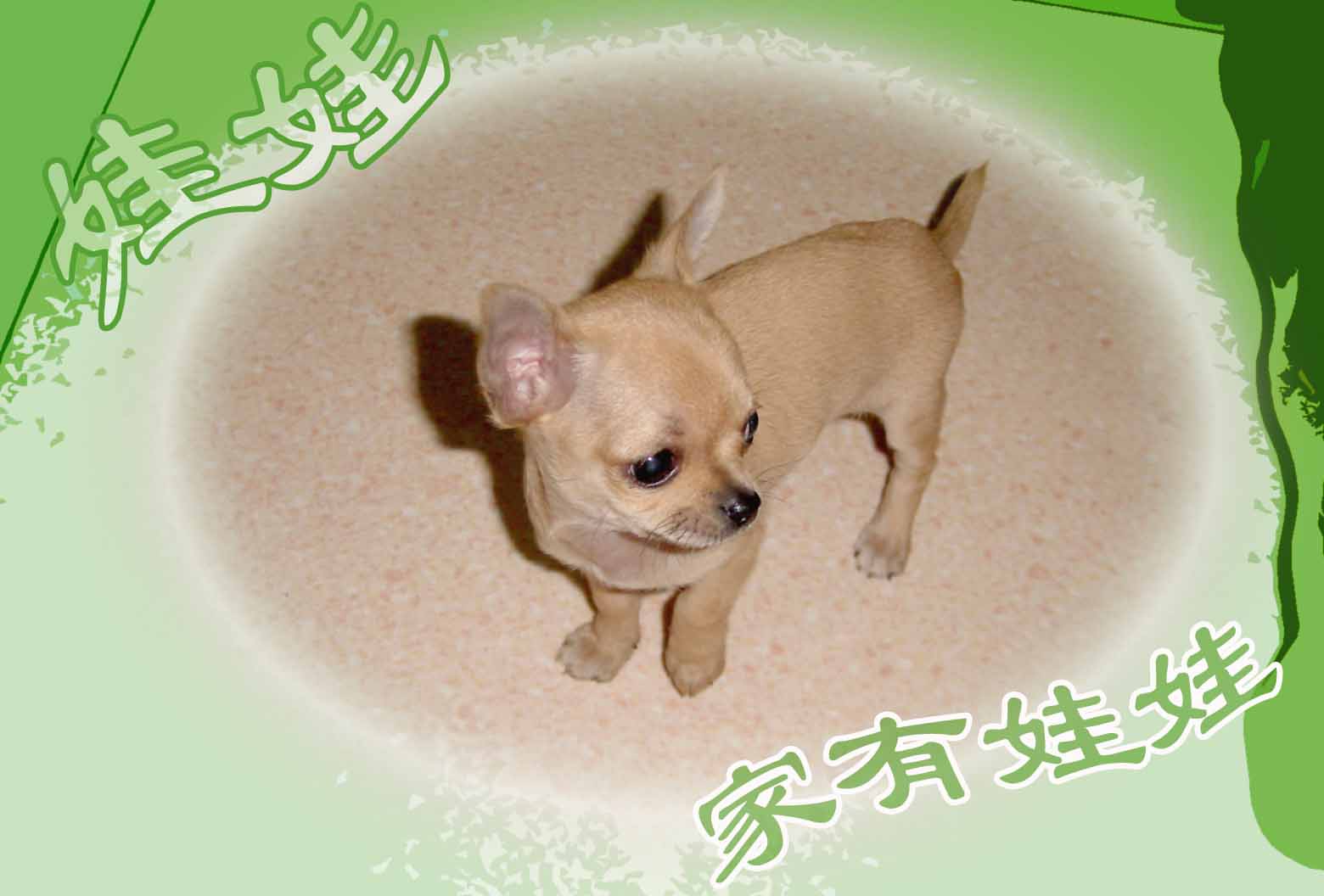 [ͼ]ҼĹ