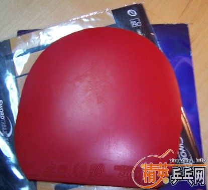 ���˳����Ž�Ƥ�������£�